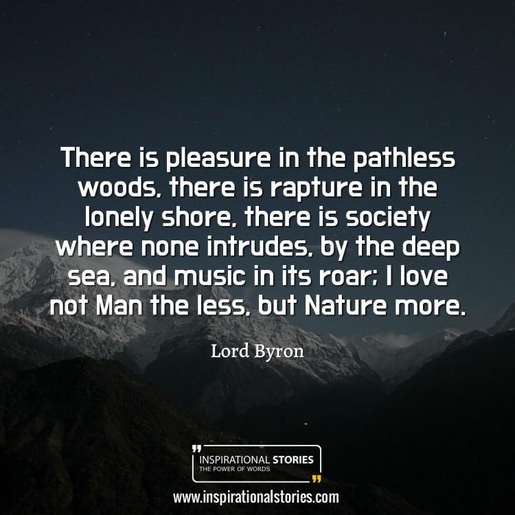 pleasure in the pathless woods meaning